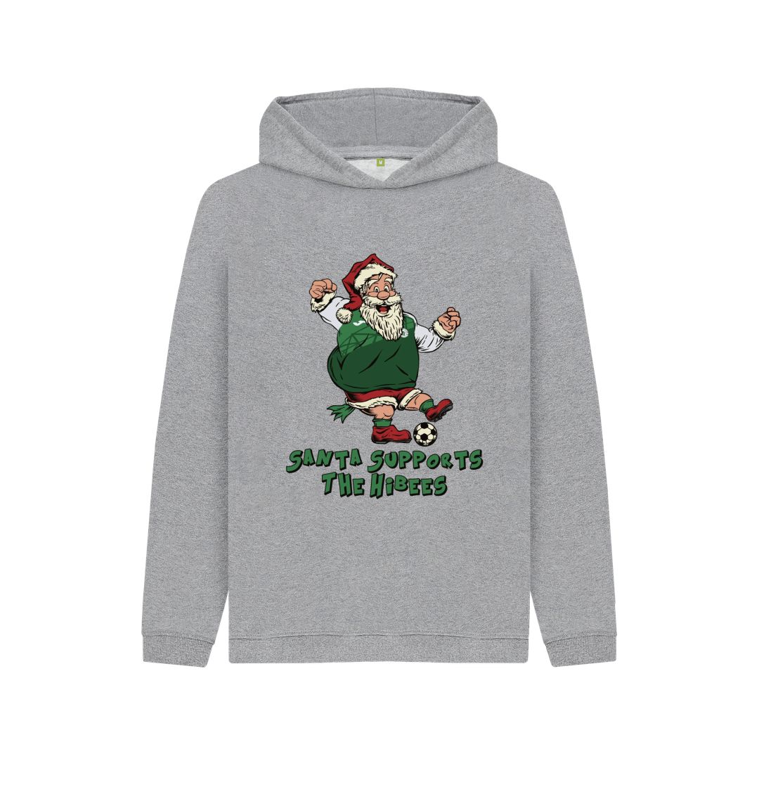 Athletic Grey Hibernian Kids Santa Hoody